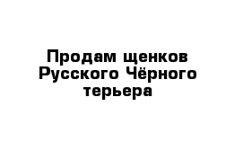 Продам щенков Русского Чёрного терьера